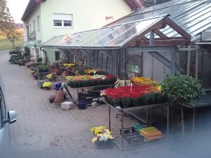 Gärtnerei - Faller Gartenbau - St. Märgen